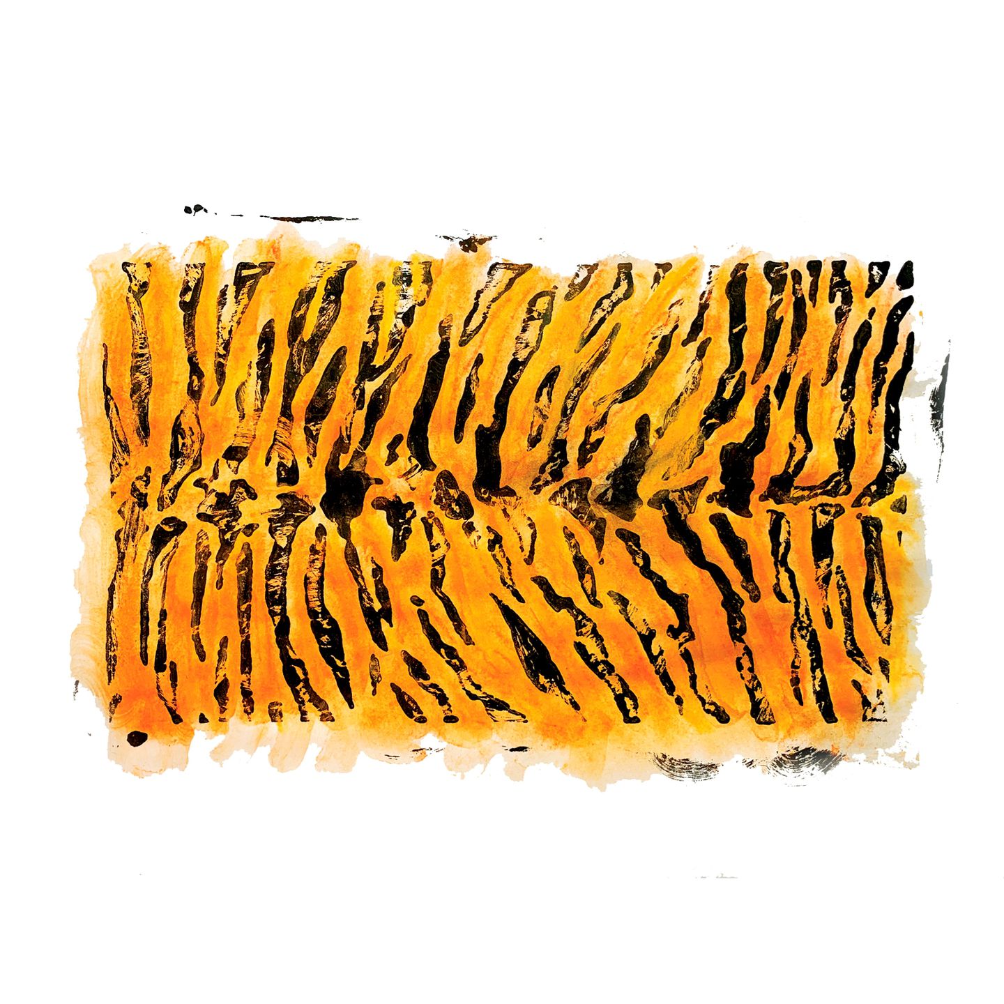 Wildtier-Schablonen und Rubbelplatten