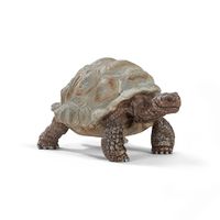 Riesenschildkröte