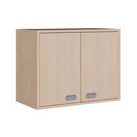 Hängeschrank mit Mittelwand, 2 Türen und 4 Einlegeböden, B 102 x H 60 x T 40 cm