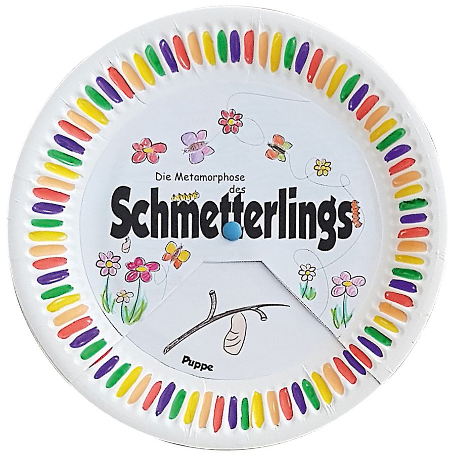 Metamorphose des Schmetterlings