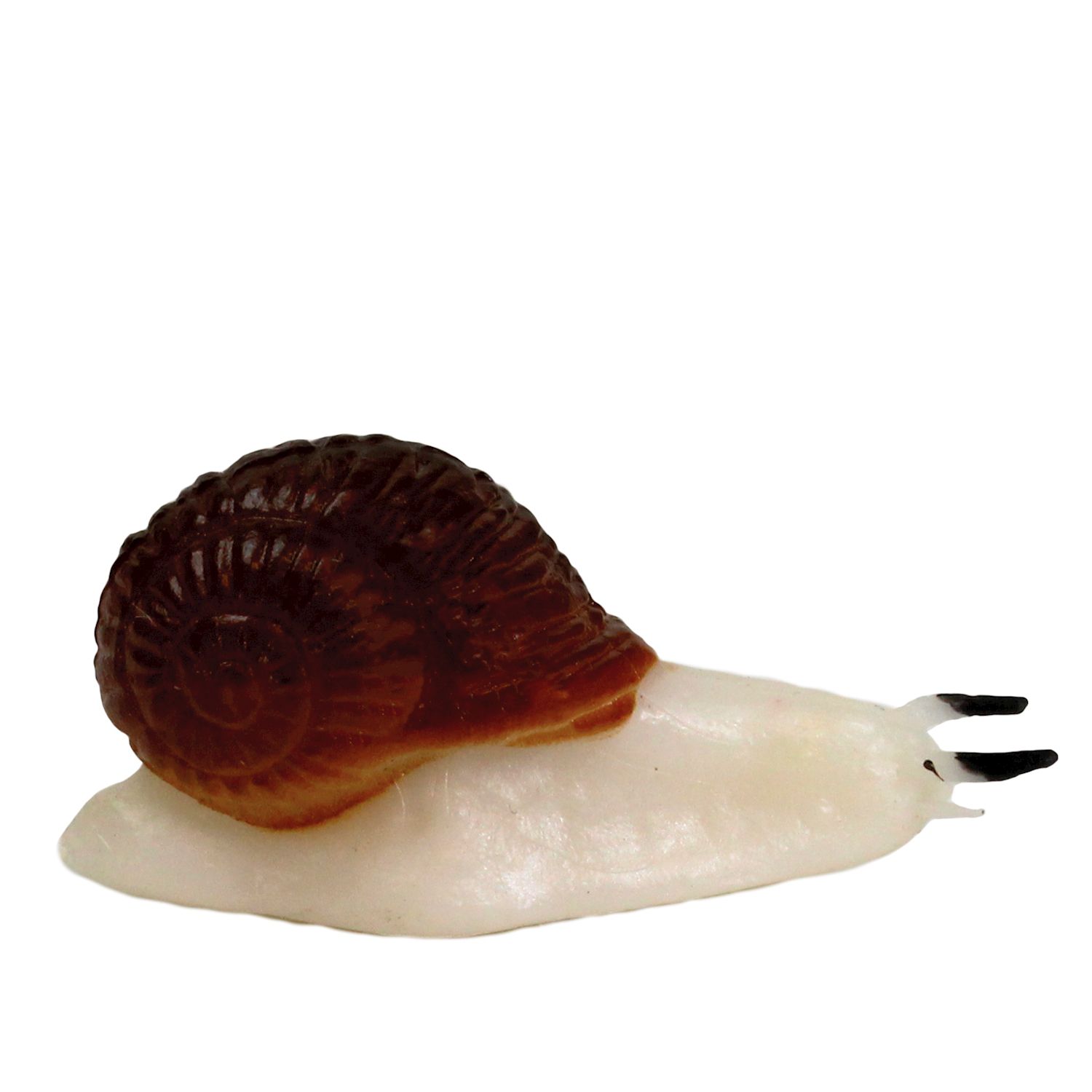 Modell Insekten & Co.