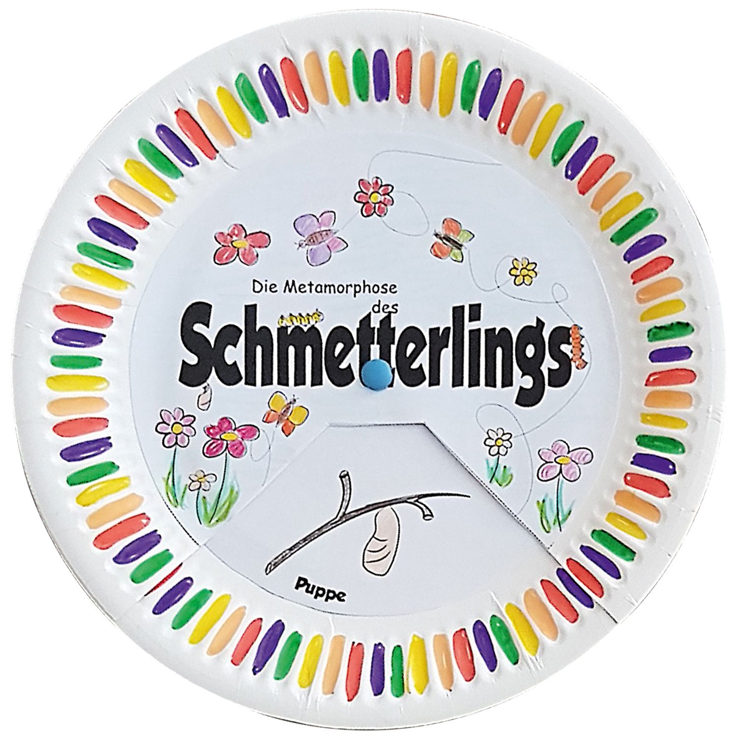 Metamorphose des Schmetterlings