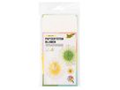 Papiertüten Blumen Daisy Love