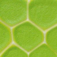Mosaikcolour 30 ml, hellgrün