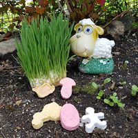 Papiermaché-Samenbomben