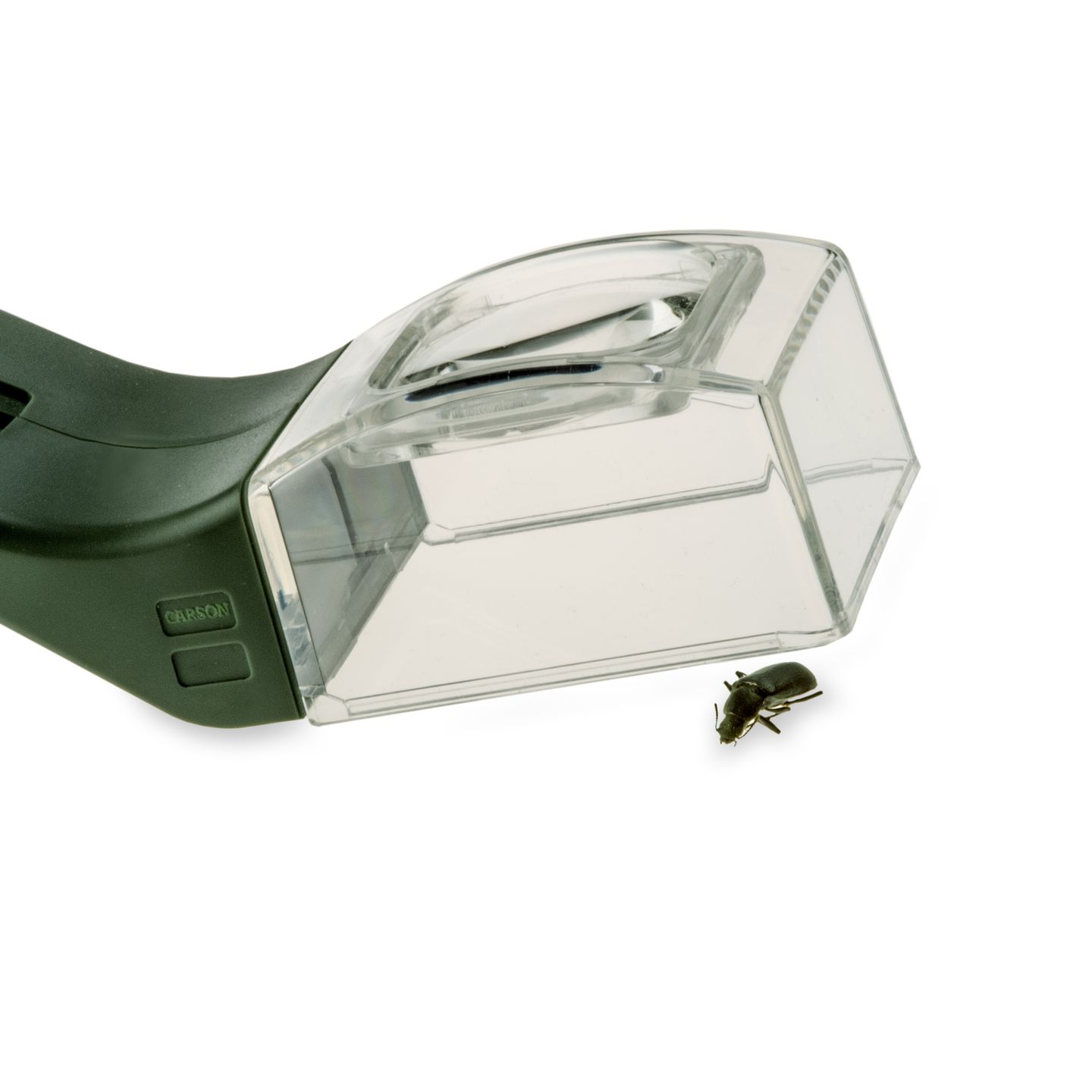Insektenfänger