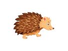 Magnetpuzzle Wald 6er Set