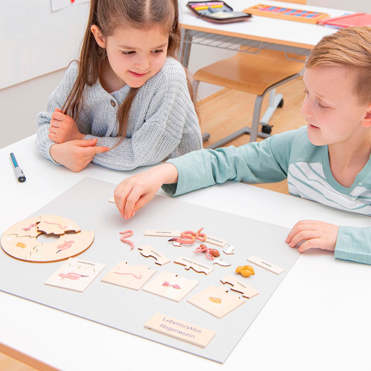 Lebenszyklus Regenwurm in der Holzbox
