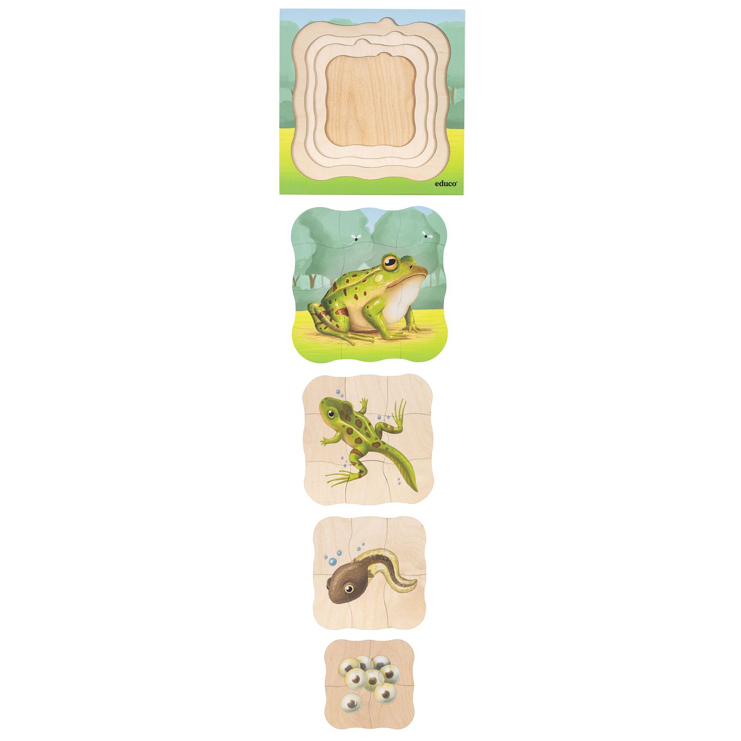 Lagenpuzzle Frosch
